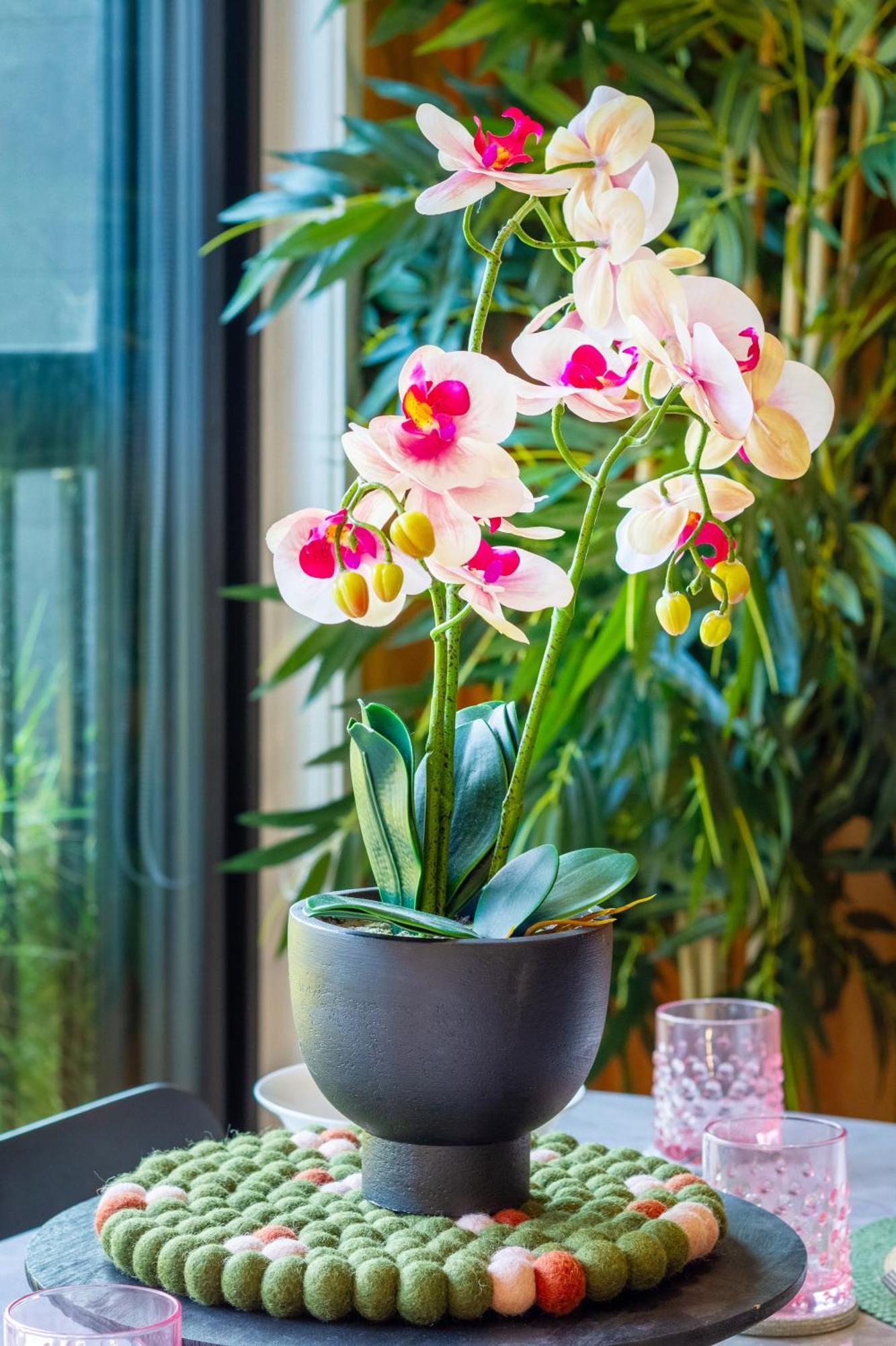 Cozy 1-Bed Apartment With Park Views, Sleeps 4 Christchurch Exteriér fotografie
